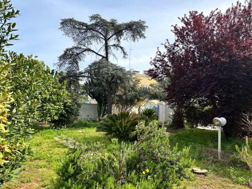Giardino A Mare Apartment Bari Luaran gambar