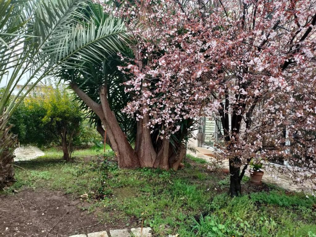 Giardino A Mare Apartment Bari Luaran gambar